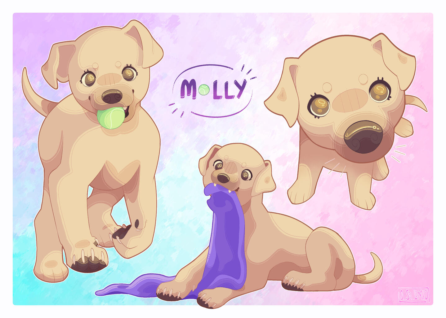 shaded page shaded page